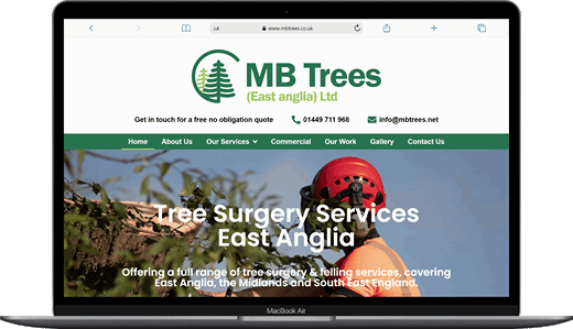 Home page of a tree surgery website design by Bullman Digital